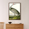 John James Audubon, Hooping Crane,The Birds of America,canvas print,canvas art,canvas wall art,large wall art,framed wall art,p2368
