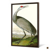 John James Audubon, Hooping Crane,The Birds of America,canvas print,canvas art,canvas wall art,large wall art,framed wall art,p2368