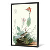 John James Audubon, Henslow's Bunting,The Birds of America,canvas print,canvas art,canvas wall art,large wall art,framed wall art,p2364
