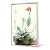 John James Audubon, Henslow's Bunting,The Birds of America,canvas print,canvas art,canvas wall art,large wall art,framed wall art,p2364
