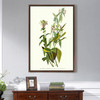 John James Audubon,Green Black capt Flycatcher,The Birds of America,canvas print,canvas art,canvas wall art,large wall art,framed art,p2360