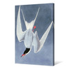 John James Audubon, Great Tern,The Birds of America,canvas print,canvas art,canvas wall art,large wall art,framed wall art,p2359