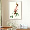 John James Audubon, Great Carolina Wren,The Birds of America,canvas print,canvas art,canvas wall art,large wall art,framed wall art,p2355