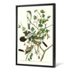 John James Audubon, Great American Shrike or Butcher Bird,The Birds of America,canvas print,canvas art,canvas wall art,large wall art,p2353