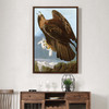 John James Audubon, Goldon Eagle,The Birds of America,canvas print,canvas art,canvas wall art,large wall art,framed wall art,p2350