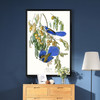 John James Audubon, Florida Jay,The Birds of America,canvas print,canvas art,canvas wall art,large wall art,framed wall art,p2344