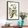 John James Audubon, Downy Woodpecker,The Birds of America,canvas print,canvas art,canvas wall art,large wall art,framed wall art,p2339