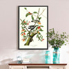 John James Audubon, Downy Woodpecker,The Birds of America,canvas print,canvas art,canvas wall art,large wall art,framed wall art,p2339