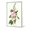 John James Audubon, Columbian Humming Bird,The Birds of America,canvas print,canvas art,canvas wall art,large wall art,framed wall art,p2333