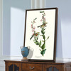 John James Audubon, Chestnut sided Warbler,The Birds of America,canvas print,canvas art,canvas wall art,large wall art,framed wall art,p2328