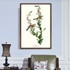 John James Audubon, Chestnut sided Warbler,The Birds of America,canvas print,canvas art,canvas wall art,large wall art,framed wall art,p2328