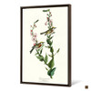 John James Audubon, Chestnut sided Warbler,The Birds of America,canvas print,canvas art,canvas wall art,large wall art,framed wall art,p2328