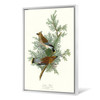 John James Audubon, Cedar Bird,The Birds of America,canvas print,canvas art,canvas wall art,large wall art,framed wall art,p2327