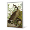 John James Audubon, Canada Goose,The Birds of America,canvas print,canvas art,canvas wall art,large wall art,framed wall art,p2318