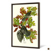 John James Audubon, Canada Jay,The Birds of America,canvas print,canvas art,canvas wall art,large wall art,framed wall art,p2319