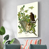 John James Audubon, Broad winged Hawk,The Birds of America,canvas print,canvas art,canvas wall art,large wall art,framed wall art,p2314