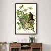 John James Audubon, Broad winged Hawk,The Birds of America,canvas print,canvas art,canvas wall art,large wall art,framed wall art,p2314