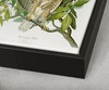 John James Audubon, Broad winged Hawk,The Birds of America,canvas print,canvas art,canvas wall art,large wall art,framed wall art,p2314