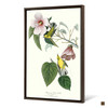 John James Audubon, Blue winged Yellow Warbler,The Birds of America,canvas print,canvas art,canvas wall art,large wall art,framed art,p2306