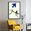 John James Audubon, Blue bird,The Birds of America,canvas print,canvas art,canvas wall art,large wall art,framed wall art,p2301