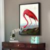 John James Audubon, American Flamingo,The Birds Of America,Canvas Print,Canvas Art,Canvas Wall Art,Large Wall Art,Framed Wall Art,P2264
