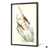 John James Audubon, Black Throated Bunting,The Birds of America,canvas print,canvas art,canvas wall art,large wall art,framed wall art,p2297