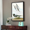 John James Audubon, Black Tern,The Birds of America,canvas print,canvas art,canvas wall art,large wall art,framed wall art,p2295