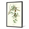 John James Audubon, Black capped Titmouse,The Birds of America,canvas print,canvas art,canvas wall art,large wall art,framed wall art,p2292