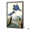 John James Audubon, Belted Kingfisher,The Birds of America,canvas print,canvas art,canvas wall art,large wall art,framed wall art,p2284