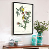 John James Audubon, American Goldfinch,The Birds of America,canvas print,canvas art,canvas wall art,large wall art,framed wall art,p2265