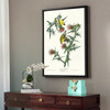 John James Audubon, American Goldfinch,The Birds of America,canvas print,canvas art,canvas wall art,large wall art,framed wall art,p2265