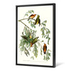 John James Audubon,American Crossbill,The Birds of America,canvas print,canvas art,canvas wall art,large wall art,framed wall art,p2262