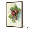 EdwinDeakin,Grapes Against White Wall,a bunch of grapes,canvas print,canvas art,canvas wall art,large wall art,framed wall art,p2203