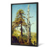 August Cappelen, Study of Trees,Dead Tree Art,canvas print,canvas art,canvas wall art,large wall art,framed wall art,p2176