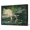 Winslow Homer,Deer Drinking,large wall art,framed wall art,canvas wall art,large canvas,M5189