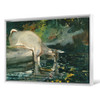 Winslow Homer,Deer Drinking,large wall art,framed wall art,canvas wall art,large canvas,M5189