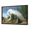 John James Audubon, White Heron,The Birds of America,canvas print,canvas art,canvas wall art,large wall art,framed wall art,p1958