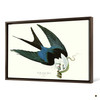 John James Audubon, Swallow tailed Hawk,The Birds of America,canvas print,canvas art,canvas wall art,large wall art,framed wall art,p1943