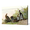 John James Audubon, Spotted Grous,The Birds of America,canvas print,canvas art,canvas wall art,large wall art,framed wall art,p1940