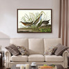 John James Audubon, Sora or Rail,The Birds of America,canvas print,canvas art,canvas wall art,large wall art,framed wall art,p1939