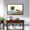 John James Audubon, Schinz's Sandpiper,The Birds of America,canvas print,canvas art,canvas wall art,large wall art,framed wall art,p1928