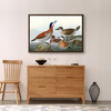 John James Audubon, Ruddy Duck,The Birds of America,canvas print,canvas art,canvas wall art,large wall art,framed wall art,p1922
