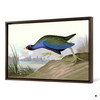 John James Audubon, Purple Gallinule,The Birds of America,canvas print,canvas art,canvas wall art,large wall art,framed wall art,p1905