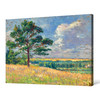 Maximilien Luce,Paysage près de Méréville,large wall art,framed wall art,canvas wall art,large canvas,M4643
