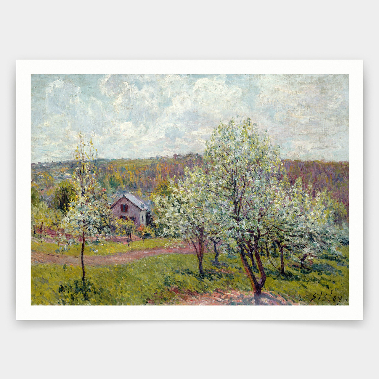 絵画 Apple Mrs. GREEN APPLE大森元貴、約4年ぶりのソロ曲「絵画」 配信開始