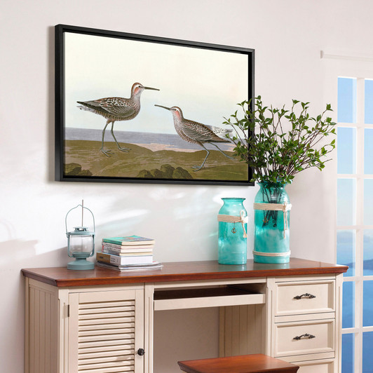 John James Audubon, Long legged Sandpiper,The Birds of America,canvas print,canvas art,canvas wall art,large wall art,framed wall art,p1887