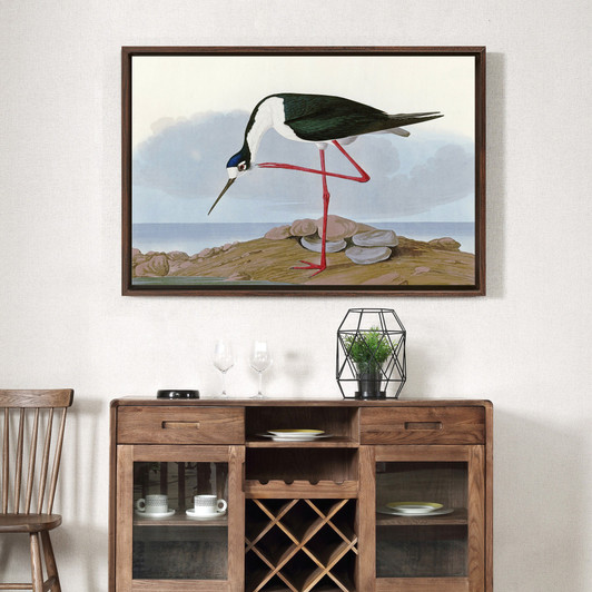 John James Audubon, Long legged Avocet,The Birds of America,canvas print,canvas art,canvas wall art,large wall art,framed wall art,p1886