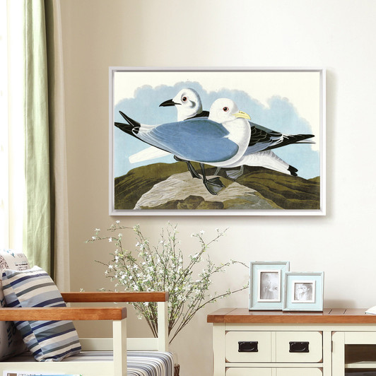 John James Audubon, Kittiwake Gull,The Birds of America,canvas print,canvas art,canvas wall art,large wall art,framed wall art,p1879