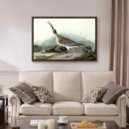 John James Audubon, Great Esquimaux Curlew,The Birds of America,canvas print,canvas art,canvas wall art,large wall art,framed wall art,p1855