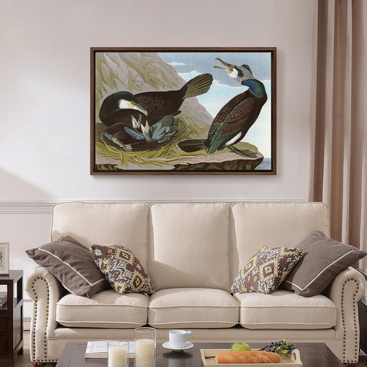 John James Audubon,Common Cormorant,The Birds of America,canvas print,canvas art,canvas wall art,large wall art,framed wall art,p1830
